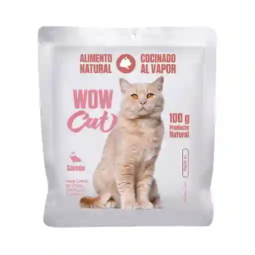 Alimento Húmedo Para Gato Pouch Wow Cat Salmón