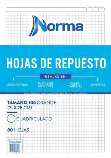 Hojas De Repuesto Para Folder Norma Tamaño 105 21x28cm Cuadriculado 80 Hojas