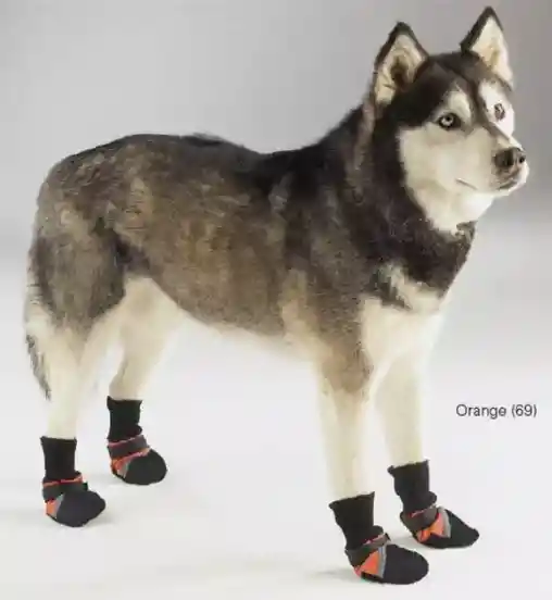 Botas Para Perros Guardian Gear L