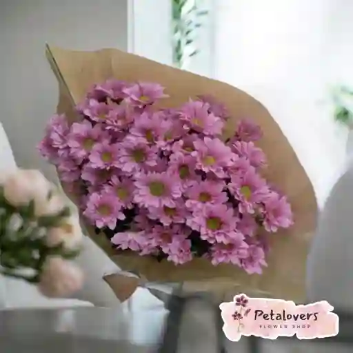 Flores De Margaritas Lilas