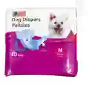 Pañal Para Mascotas Bolsa X 10 Unds Talla M Cm-hit-20m