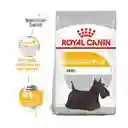 Royal Canin Dermacomfort Mini X 3kg