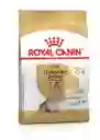 	royal Canin Yorkshire Terrier 8+ X 1.14kg