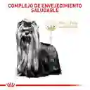 	royal Canin Yorkshire Terrier 8+ X 1.14kg