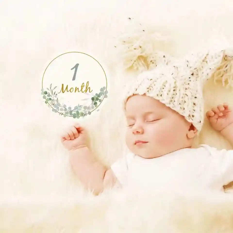 Letrero Meses Para Fotos Bebe Primeros Meses X12 Tarjetas