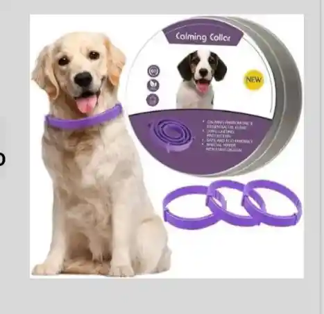 Collar Con Fermonas Para Perro