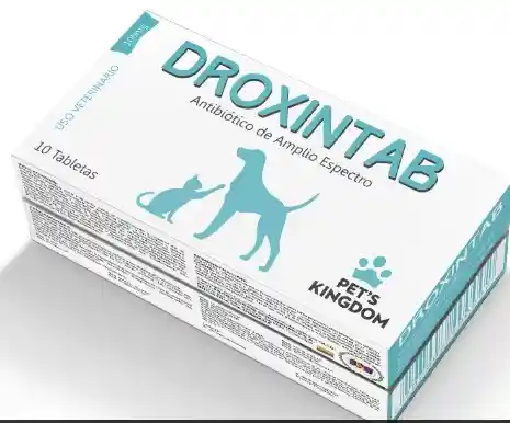 Droxintab X 20 Tabs