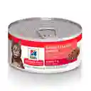 Alimento Humedo Para Gato Hills Salmon 156g Lata Hills Gatos Salmon