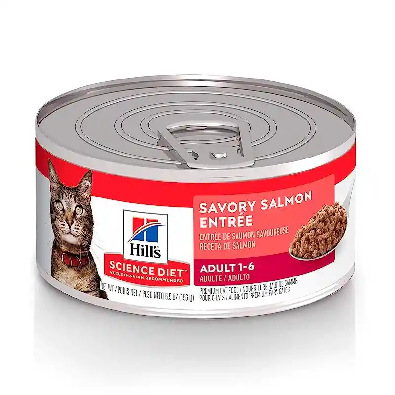 Alimento Humedo Para Gato Hills Salmon 156g Lata Hills Gatos Salmon