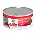 Alimento Humedo Para Gato Hills Salmon 156g Lata Hills Gatos Salmon