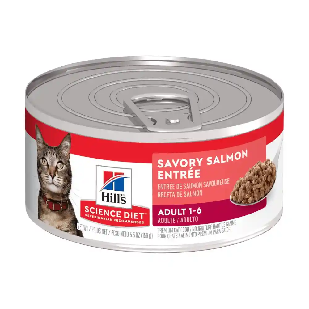 Alimento Humedo Para Gato Hills Salmon 156g Lata Hills Gatos Salmon