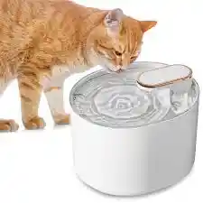 Fuente De Agua Para Gatos Catit Filtros Bebedero Gatos Cuencos Elevados Para Gatos Pileta Mascotas Blanco 3 Litros