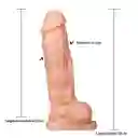 Dildo Realista Randal Piel 28 Cm Camtoyz