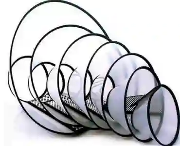 Cuello Isabelino Transparente 41x48cm Rf Pa62n2