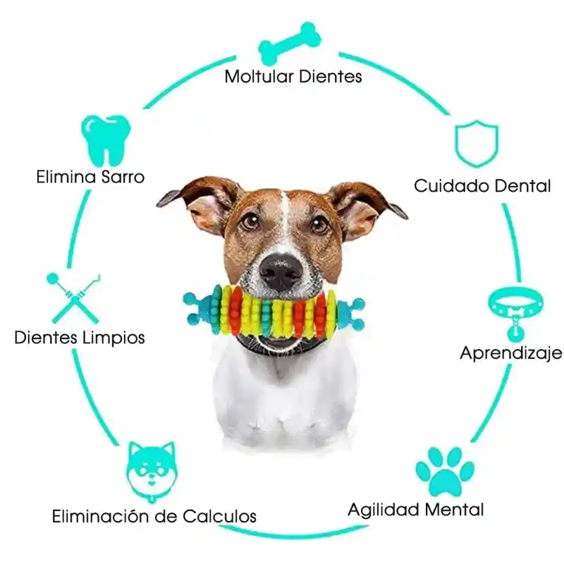 Juguete Limpia Dientes Hueso Resistente Rasca Encías Antiestrés Perros Mascotas