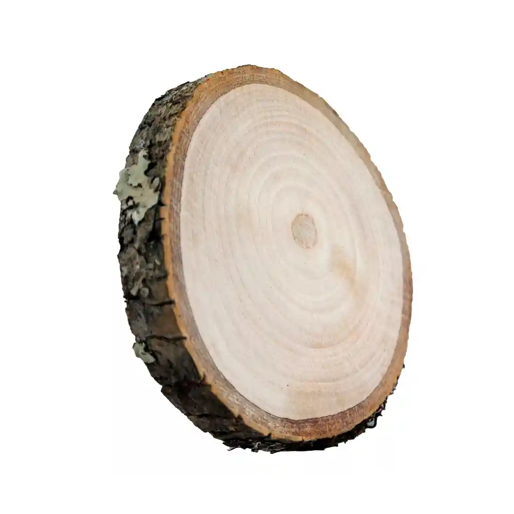 Rodaja De Madera Natural 21 Cm