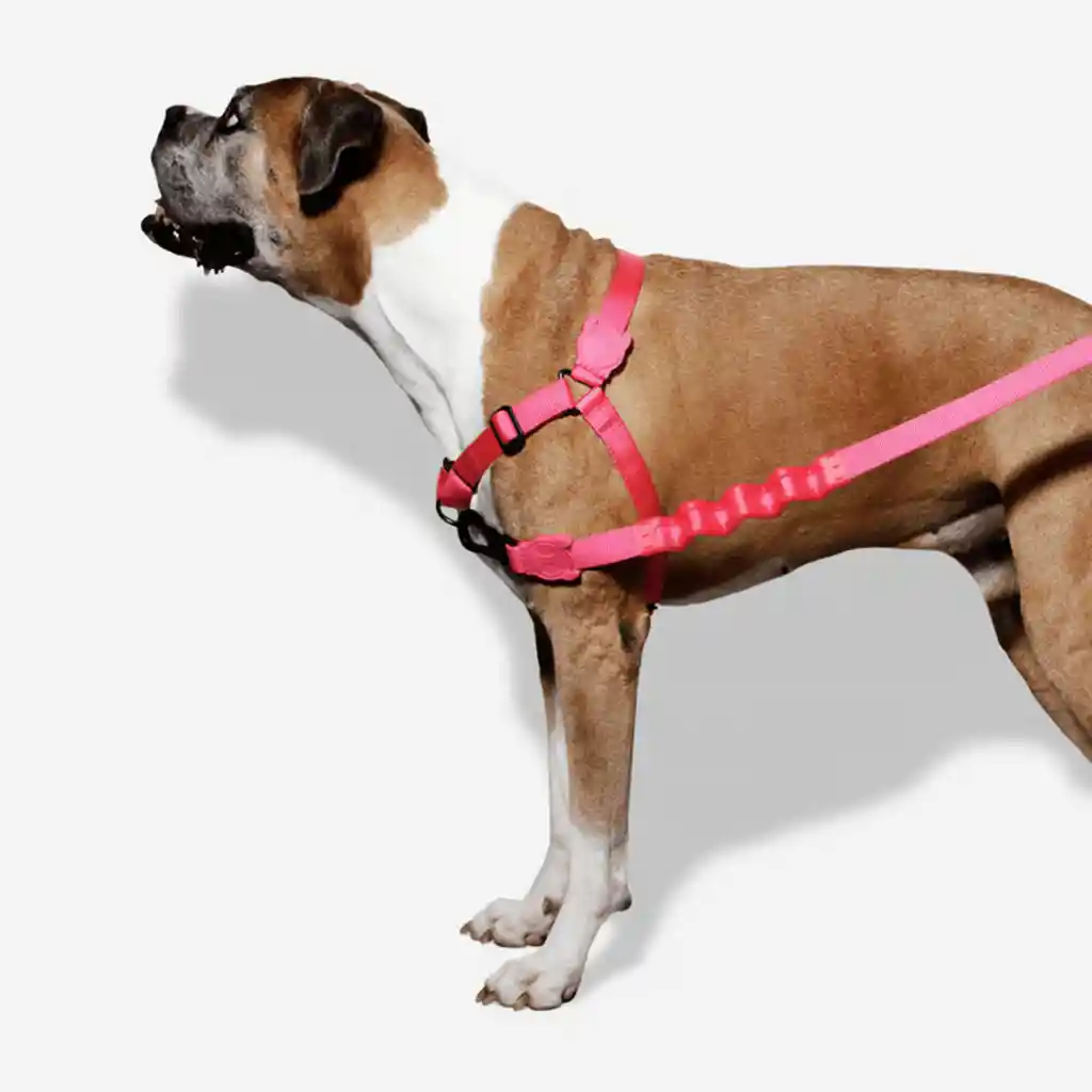 Zee.dog Soft Walk Harness - Arnés Antitirones Pink Led Talla M