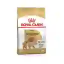 Royal Canin Pomeranian Adulto 1.5 Kg