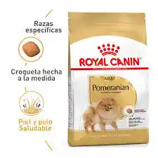 Royal Canin Pomeranian Adulto 1.5 Kg