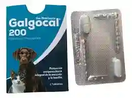 Desparasitante Galgocal 200 X2 Tabletas