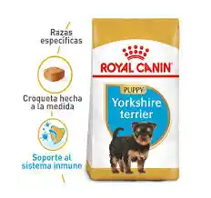	royal Canin Yorkshire Terrier Cachorro