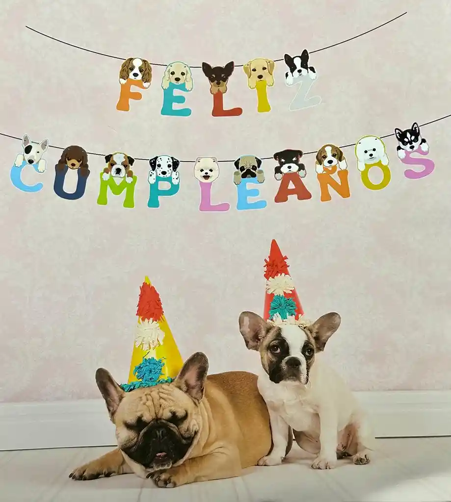 Letrero Guirnalda Feliz Cumpleaños Decoracion Para Perro