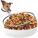 Comedero Bebedero Antireflujo Mascotas Perro Gato