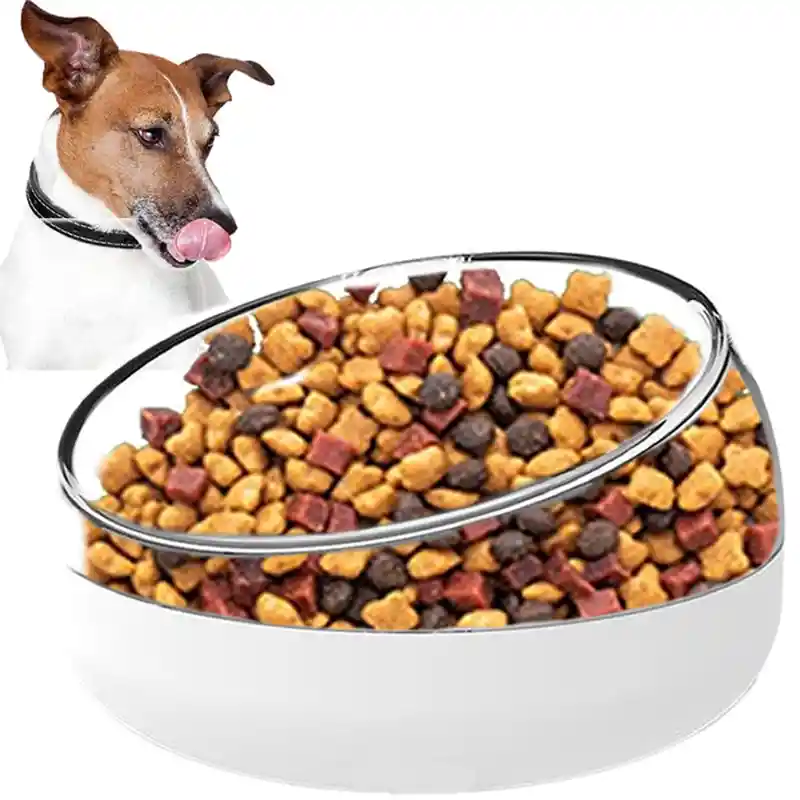 Comedero Bebedero Antireflujo Mascotas Perro Gato