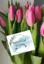 Tulipanes