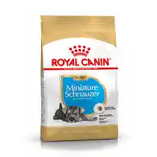 	royal Canin Schnauzer Cachorro