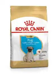 	royal Canin Pug Cachorro