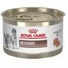 	royal Canin Recovery Lata