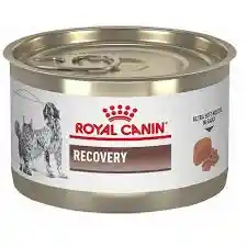 	royal Canin Recovery Lata