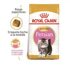 	royal Canin Persa Kitten Gatito