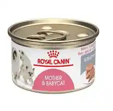 	royal Canin Mother And Babycat Lata