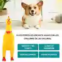 Juguete Pollo Chillón Hule Goma Perro Gato Mascotas