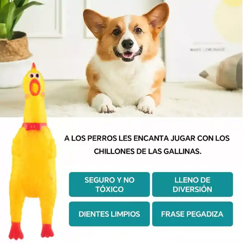 Juguete Pollo Chillón Hule Goma Perro Gato Mascotas