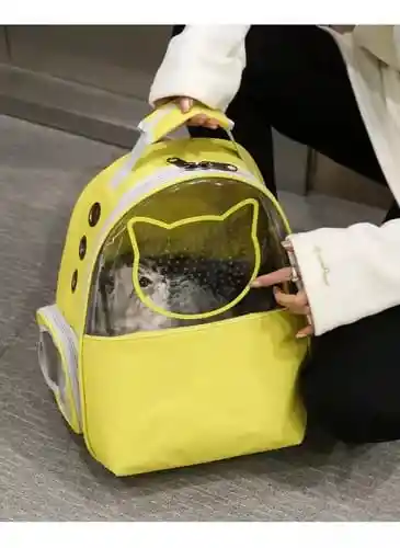 Morral Mitad Transporte Cara De Gato