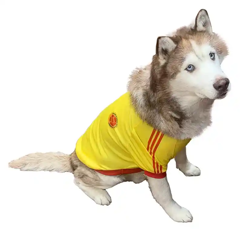 Camisa Para Perro Grande 6 Xl Colombia Copa America