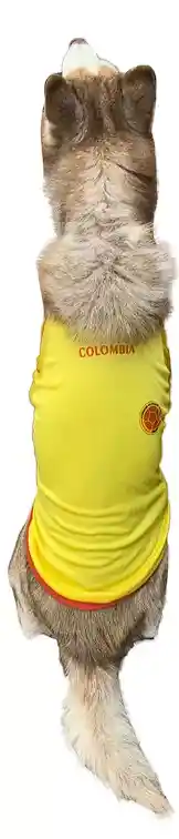 Camisa Para Perro Grande 6 Xl Colombia Copa America