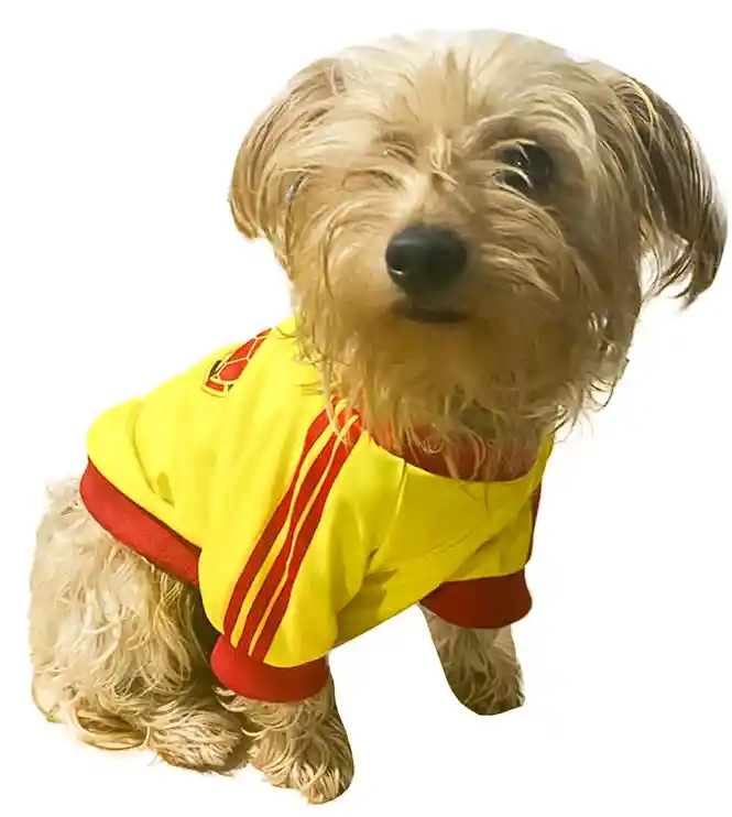 Camisa Ropa Perro Mascota Colombia Copa America Small