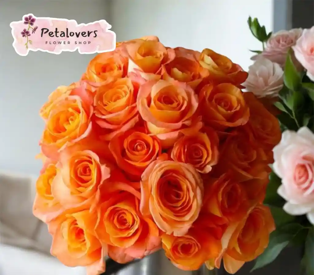 Flores De Rosas Naranjas San Valentin