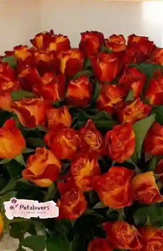 Bouquet Rosas Naranjas San Valentin