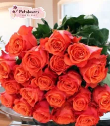 Flores Ramo Bouquet Rosas Naranjas