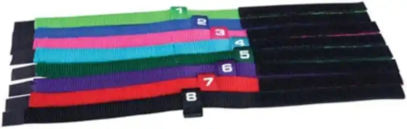 Collares De Colores Y Numerados Para Identificación De Cachorros