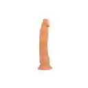 Raw Dildo Realista Roman 23 Cm