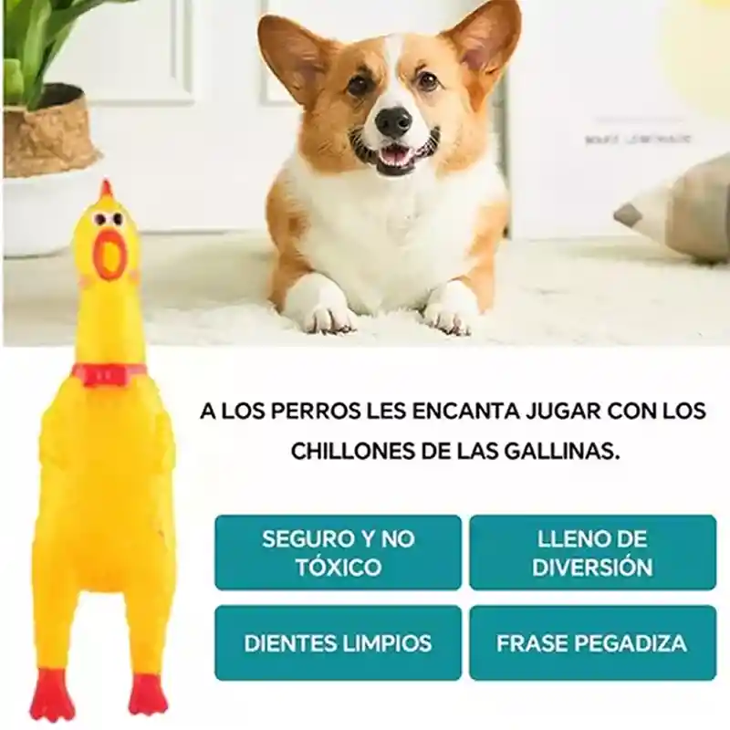 Juguete Pollo Chillón Hule Goma Perro Gato Mascotas