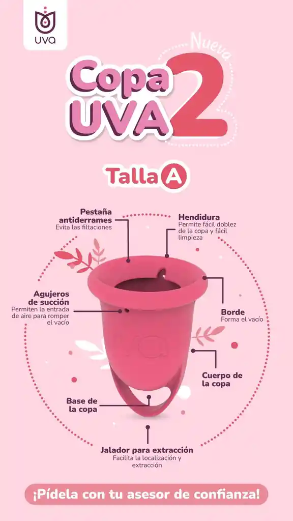 Copa Menstrual Uva 2 Talla A Salmón