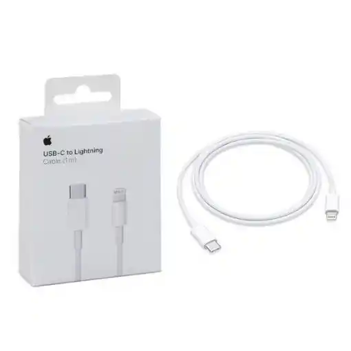 Adaptador Convertidor Entrada Lightning Salida Plug Ramitech