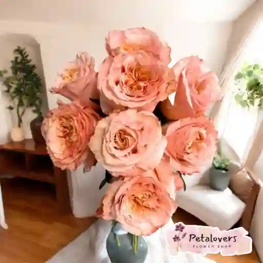 Rosas Salmón Amor Y Amistad